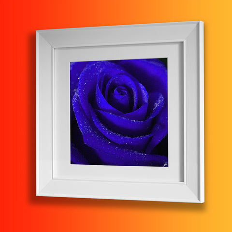 Blue Rose Framed Print
