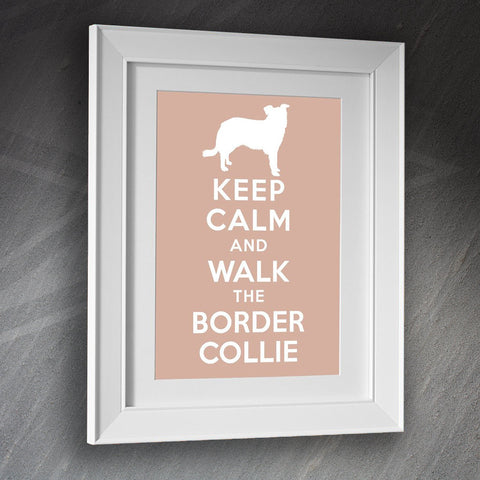 Border Collie Framed Print
