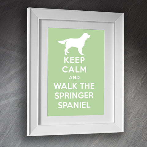 Springer Spaniel Framed Print