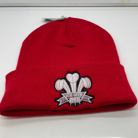 Wales Rugby Beanie Hat