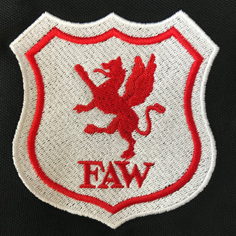 Wales Football Badge